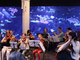 Musikskolernes dage i Tivoli