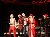 JULEPULS