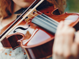 Violin