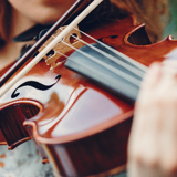 Violin