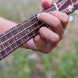 Ukulele Ukulele